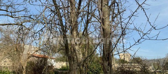 2 bedrooms House in Padria, Italy No. 308818 4