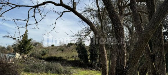 2 bedrooms House in Padria, Italy No. 308818 6