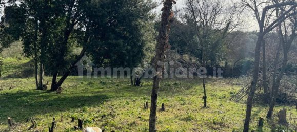 2 bedrooms House in Padria, Italy No. 308818 36