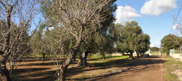  Land in San Vito dei Normanni, Italy No. 177574 2