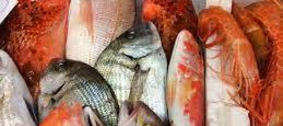 4-Zimmer Gewerbliche Immobilie in Montegrotto Terme, Italy, Nr. 55034 10