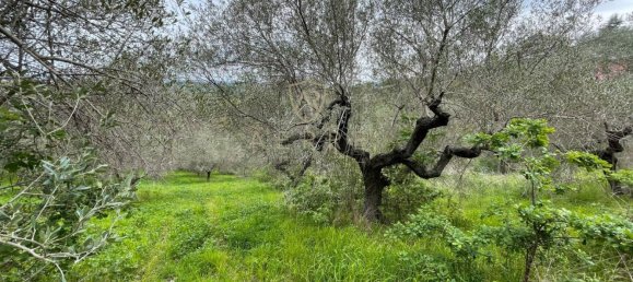 Terreno em Montesilvano, Italy 4840 m² N.º 137258 8