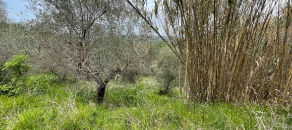 Terreno em Montesilvano, Italy 4840 m² N.º 137258 4