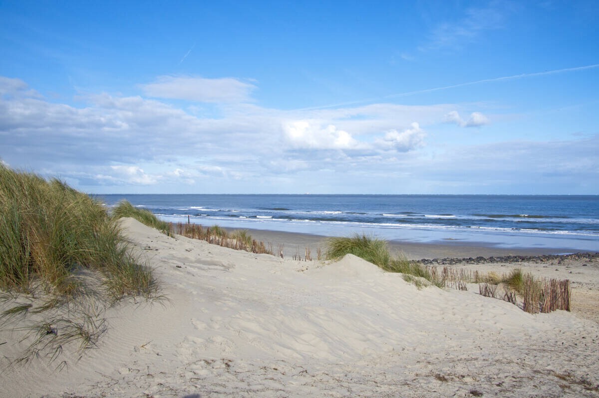 4 chambres Ferme à Nordwestmecklenburg, Germany No. 268221
