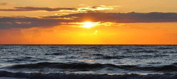 4 chambres Ferme à Nordwestmecklenburg, Germany No. 268221 5