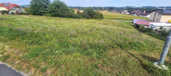 1000m² Land in Neudau, Austria No. 231018 4