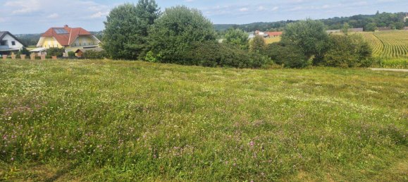 1000m² Land in Neudau, Austria No. 231018 3