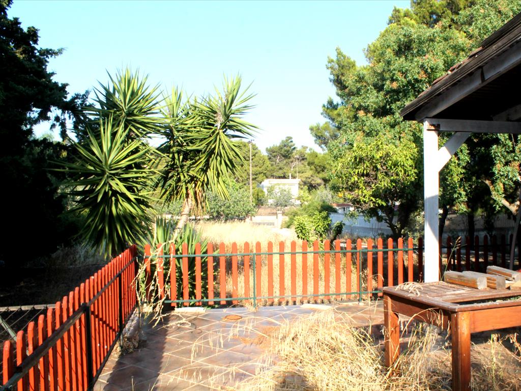 4 bedrooms Commercial property in Lavrio, Greece No. 6144