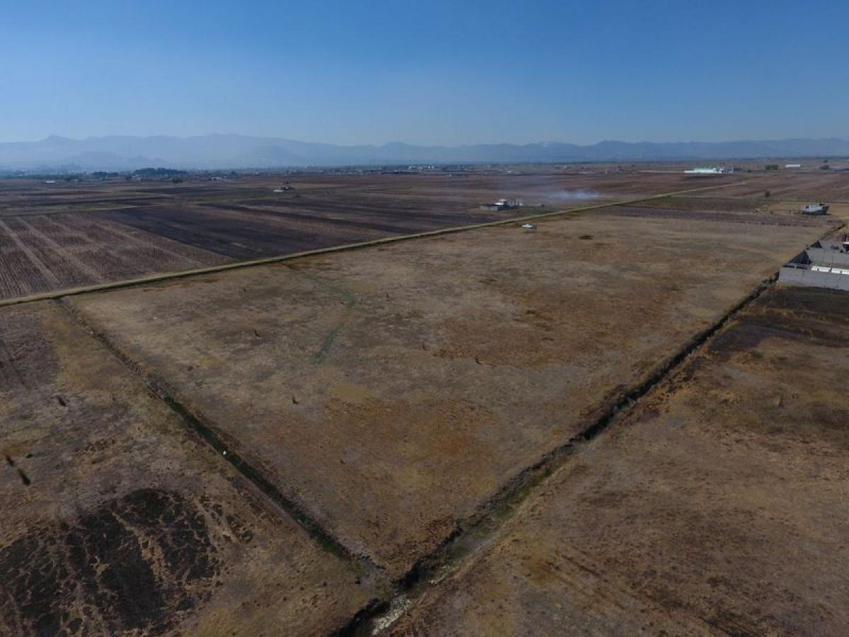  Land in Mexico No. 205119