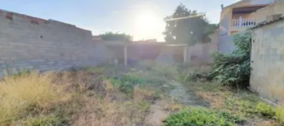 340m² Land in Novelda, Spain No. 134887 5