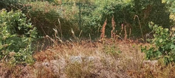 3 bedrooms Villa in Villa Faraldi, Italy No. 288723 13