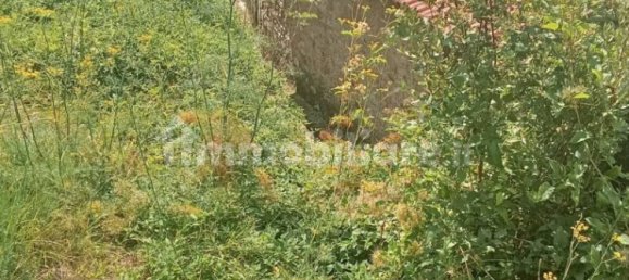 3 bedrooms Villa in Villa Faraldi, Italy No. 288723 5