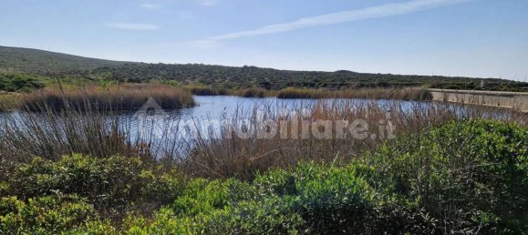 2 Schlafzimmer Haus in Sardinia, Italy, Nr. 338924 7