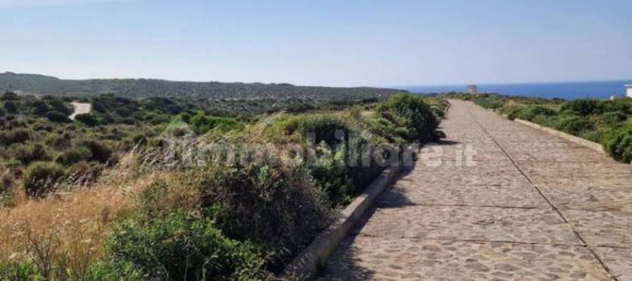 2 Schlafzimmer Haus in Sardinia, Italy, Nr. 338924 6