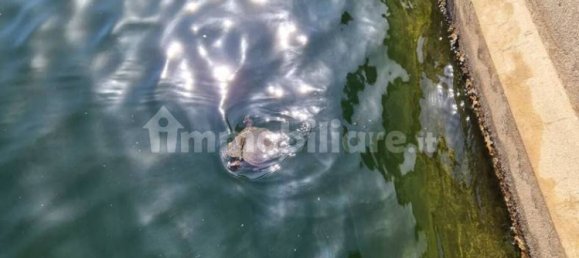 2 Schlafzimmer Haus in Sardinia, Italy, Nr. 338924 10