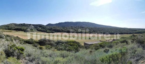 2 Schlafzimmer Haus in Sardinia, Italy, Nr. 338924 14