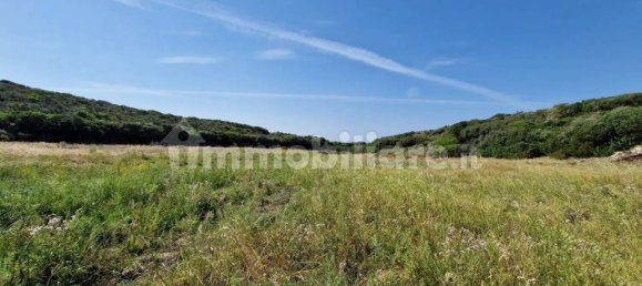 2 Schlafzimmer Haus in Sardinia, Italy, Nr. 338924 2