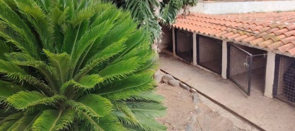 Casa de 4 dormitorios en Arucas, Spain No. 133569 3