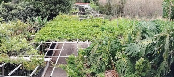 Casa de 4 dormitorios en Arucas, Spain No. 133569 8