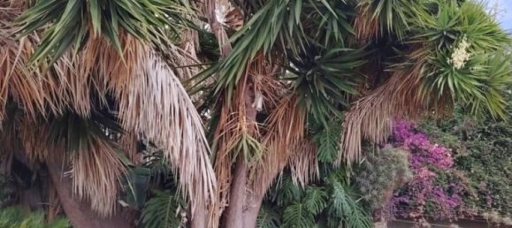 Casa de 4 dormitorios en Arucas, Spain No. 133569 5