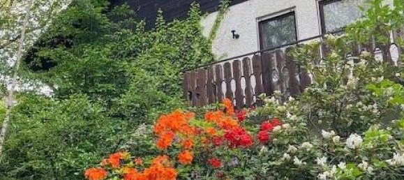 8-salle Maison de ville à Passau, Germany No. 71252 2