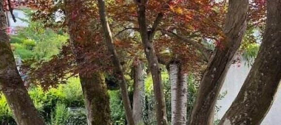 8-salle Maison de ville à Passau, Germany No. 71252 4