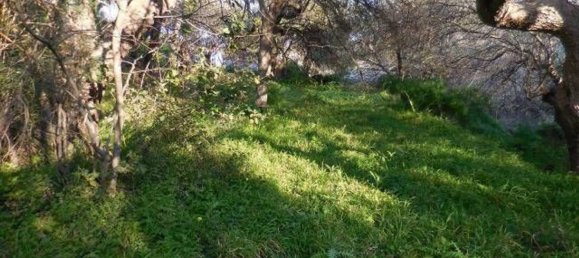  قطعة أرض في Nizza di Sicilia, Italy 8086متر مربع رقم 129096 9