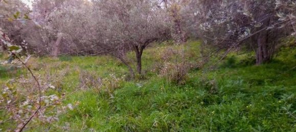  قطعة أرض في Nizza di Sicilia, Italy 8086متر مربع رقم 129096 14