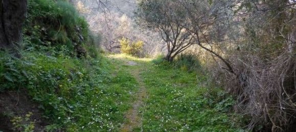  قطعة أرض في Nizza di Sicilia, Italy 8086متر مربع رقم 129096 8