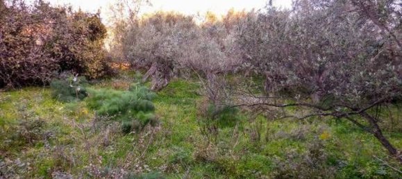  قطعة أرض في Nizza di Sicilia, Italy 8086متر مربع رقم 129096 13