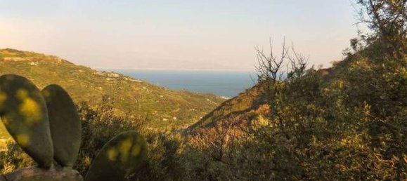  قطعة أرض في Nizza di Sicilia, Italy 8086متر مربع رقم 129096 11