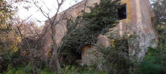  قطعة أرض في Nizza di Sicilia, Italy 8086متر مربع رقم 129096 5