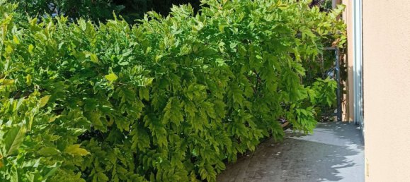 Casa T3 em Neu-Ulm, Germany N.º 270416 30