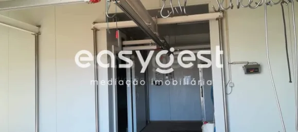 450m² Warehouse in Beja, Portugal No. 30632 10