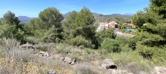  Land in Alhaurin el Grande, Spain No. 126108 6