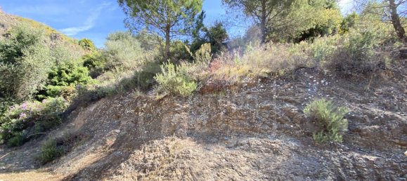  Land in Alhaurin el Grande, Spain No. 126108 31