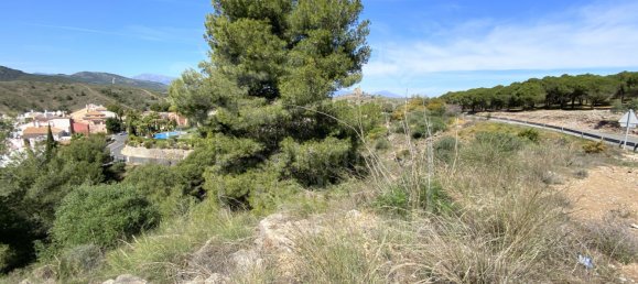  Land in Alhaurin el Grande, Spain No. 126108 8
