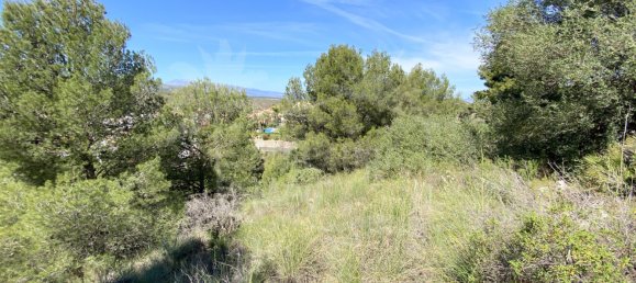  Land in Alhaurin el Grande, Spain No. 126108 10
