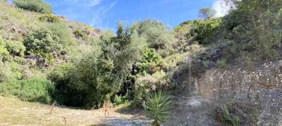  Land in Alhaurin el Grande, Spain No. 126108 32
