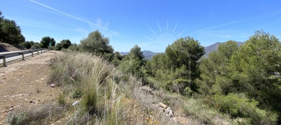  Land in Alhaurin el Grande, Spain No. 126108 7