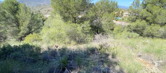  Land in Alhaurin el Grande, Spain No. 126108 13