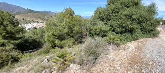  Land in Alhaurin el Grande, Spain No. 126108 18