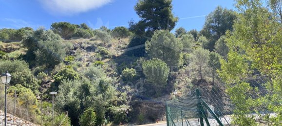  Land in Alhaurin el Grande, Spain No. 126108 38