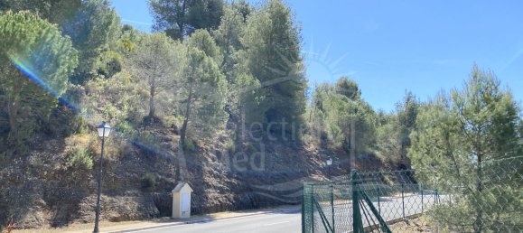  Land in Alhaurin el Grande, Spain No. 126108 39