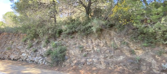  Land in Alhaurin el Grande, Spain No. 126108 28