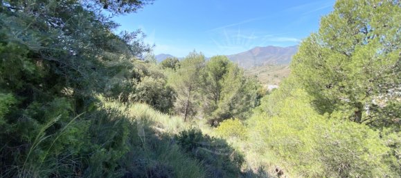  Land in Alhaurin el Grande, Spain No. 126108 12