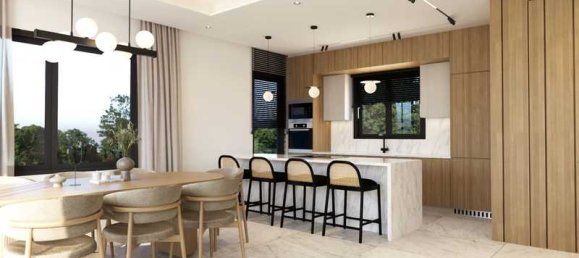 3 Schlafzimmer Gewerbliche Immobilie in Pegeia, Cyprus, Nr. 18761 10