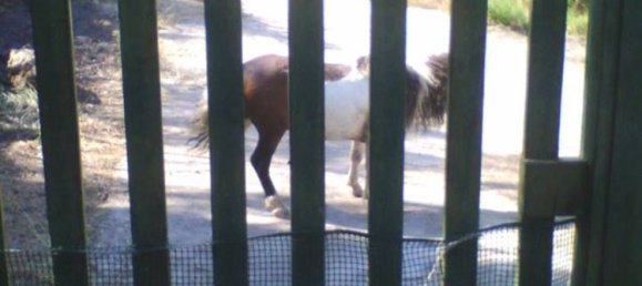  قطعة أرض في Sessa Aurunca, Italy 5000متر مربع رقم 255196 13