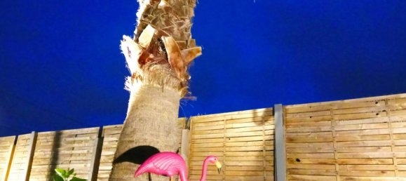 3 Schlafzimmer Haus in Deltebre, Spain, Nr. 146351 5