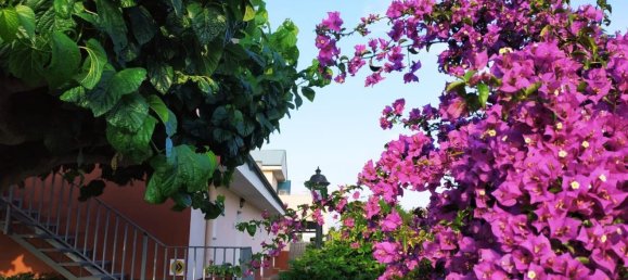 3 Schlafzimmer Haus in Deltebre, Spain, Nr. 146351 2